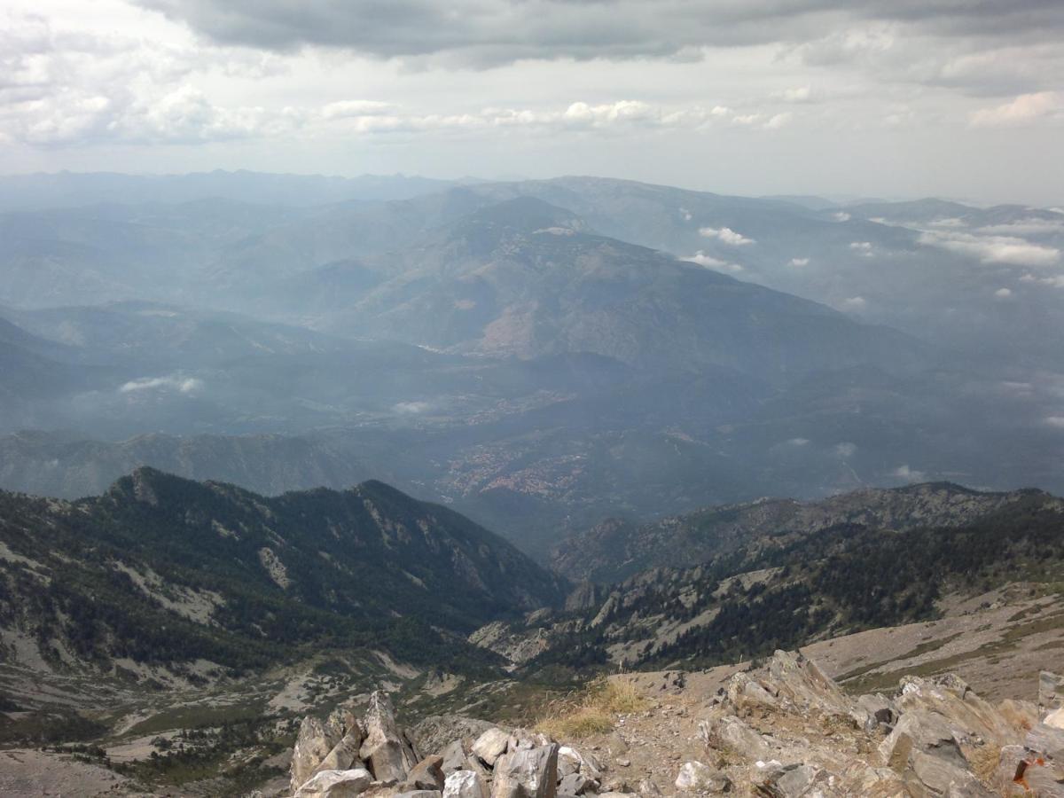 Les Glycines Llupia
